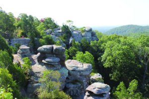 Shawnee Park and Climate Alliance